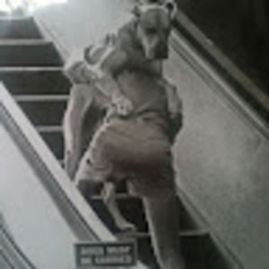 Meet your Posher, Tommie